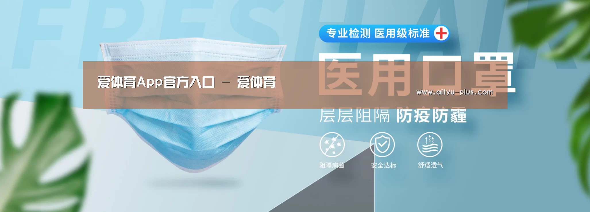 某某口罩防护用品有限公司