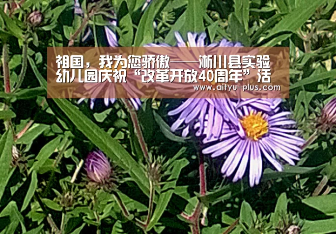 祖国,我为您骄傲——淅川县实验幼儿园庆祝“改革开放40周年”活动【爱体育App下载】(图2) 爱体育App下载