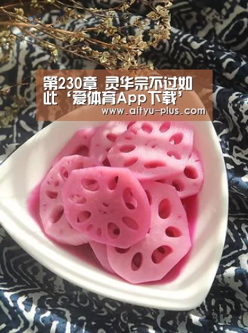 第230章 灵华宗不过如此‘爱体育App下载’(图1) 爱体育App下载