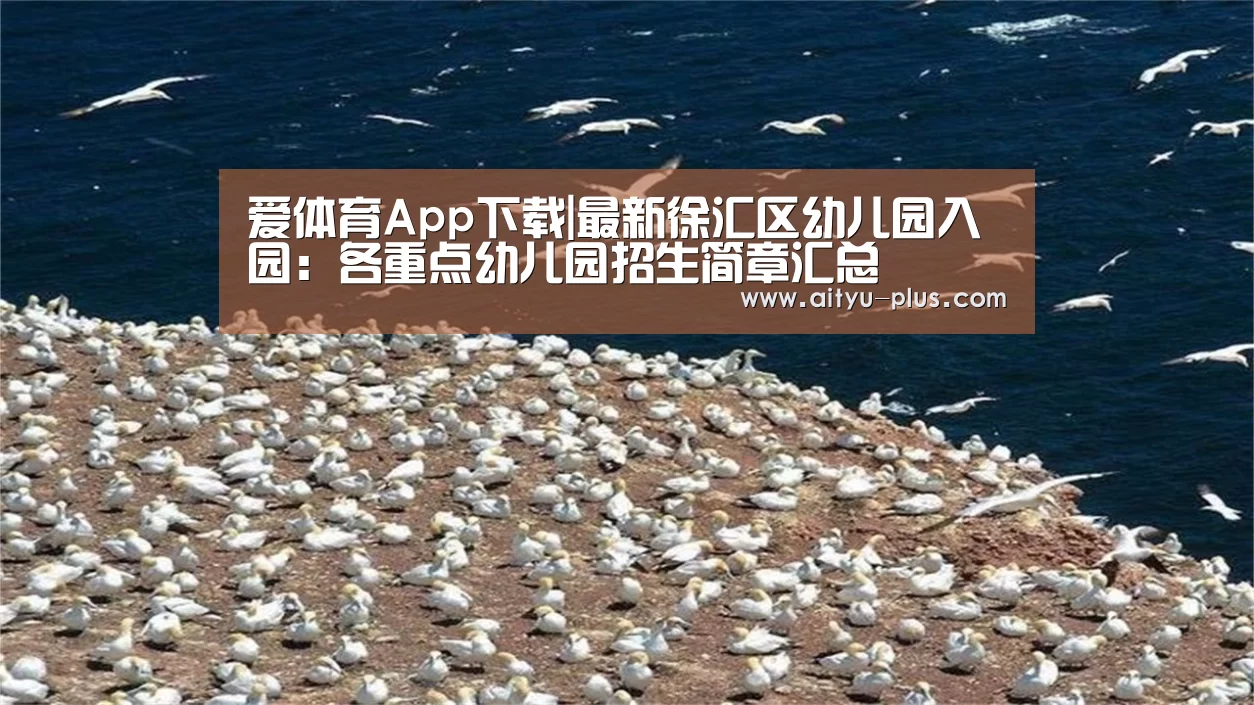 爱体育App下载|最新徐汇区幼儿园入园:各重点幼儿园招生简章汇总(图2) 爱体育App下载