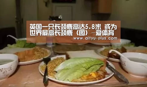 英国一只长颈鹿高达5.8米 或为世界最高长颈鹿(图)-爱体育App下载(图3) 爱体育App下载
