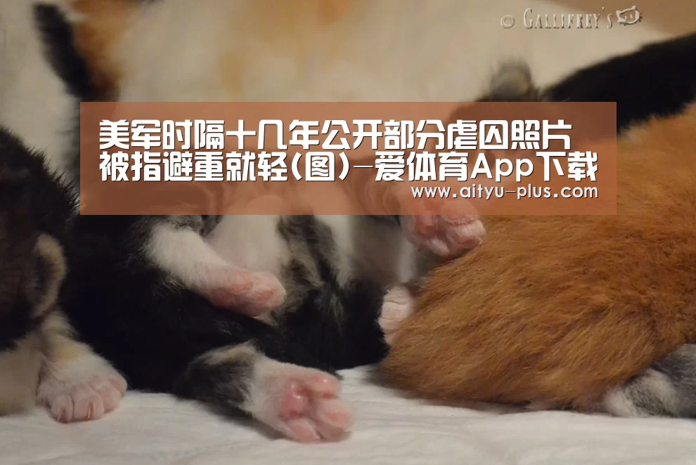 美军时隔十几年公开部分虐囚照片 被指避重就轻(图)-爱体育App下载(图2) 爱体育App下载